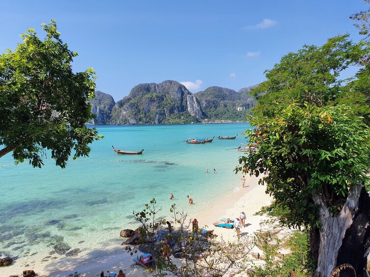 Krabi: Early Bird Phi Phi Cove Collector 4