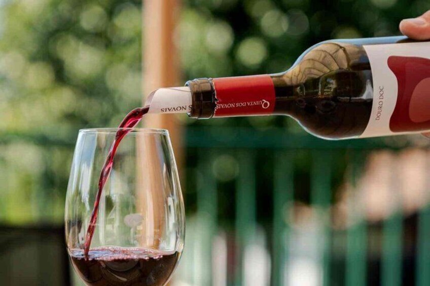 Douro Valley Lunch at Quinta dos Novais with Wine Pairings 4