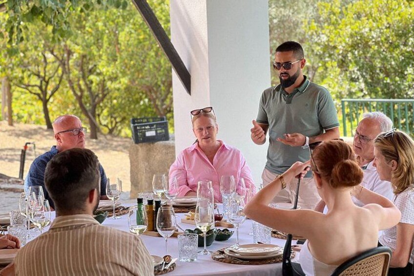 Learning about Douro wines and culture directly from passionate local hosts. 4