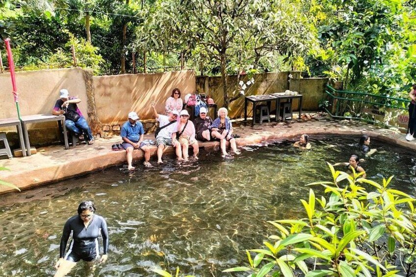 A group of people sitting by a pool in a garden, surrounded by greenery. 3
