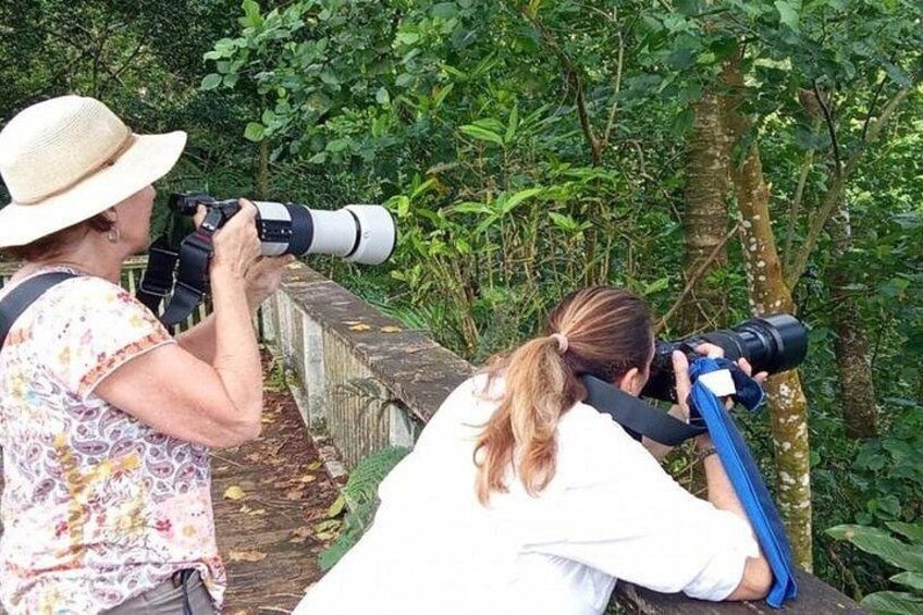 Two people using cameras, one with a large lens, in a wooded area with a bridge. 2