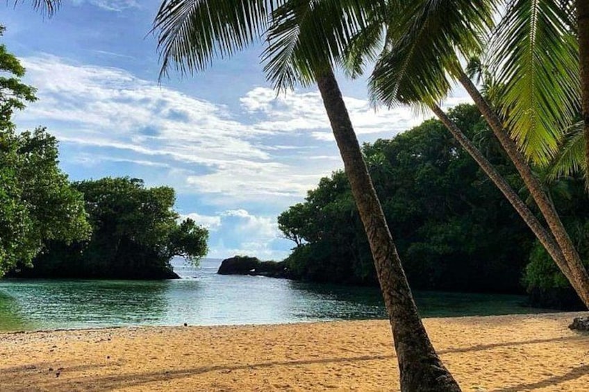 A beach with palm trees, calm water, and a forested island in the distance. 1