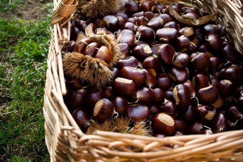 A wicker basket filled with chestnuts on grass. 3