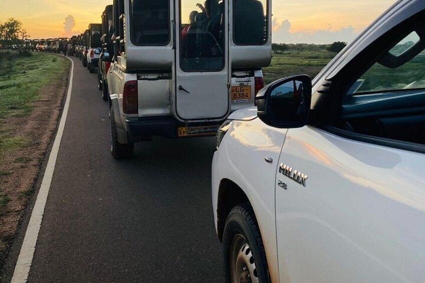 A white car with a visible license plate, a white SUV with a visible license plate, and a line of vehicles on a road. 5