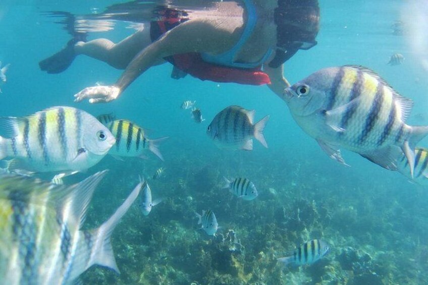 Snorkeling the Reefs in Negril Jamaica 1