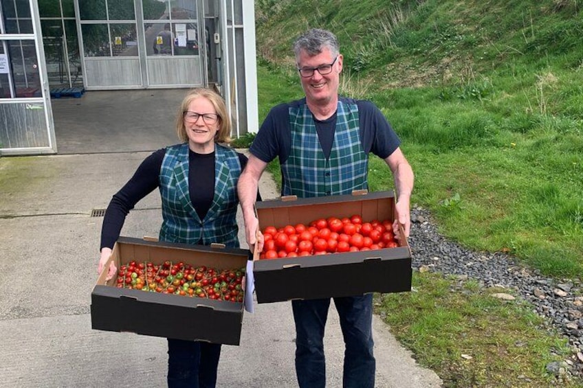 Two people holding boxes of tomatoes. 5