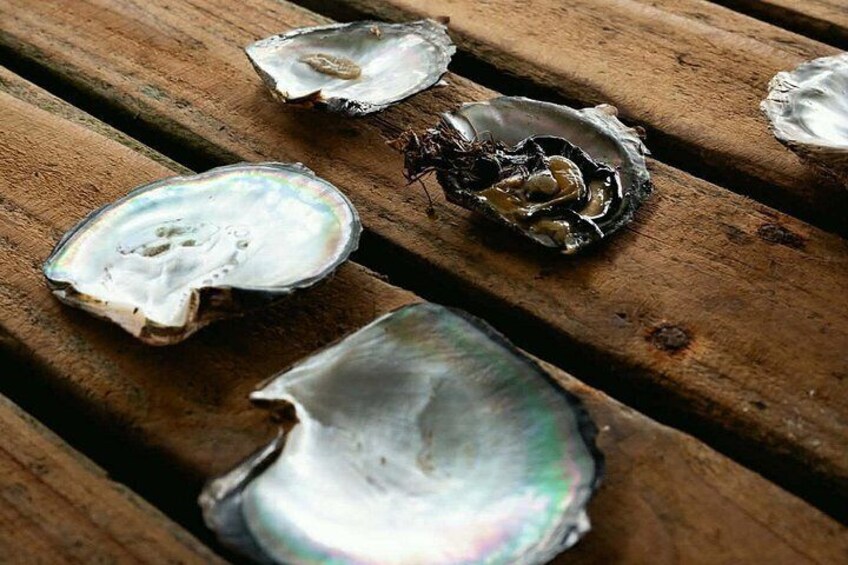 Discovery of a traditional pearl farm in Tahaa 5