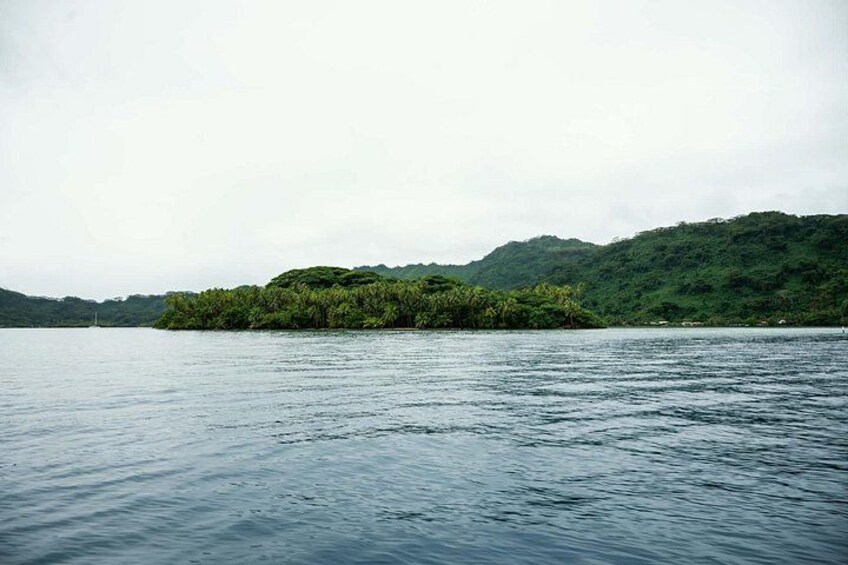 A calm lake with a small island covered in greenery. 4