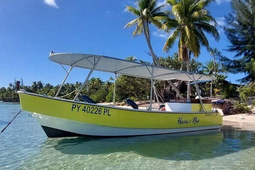 A yellow boat with the registration PY40226 PL docked near a beach with palm trees. 3