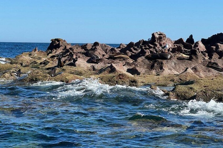 Rocky coastline with waves crashing against the rocks. 3