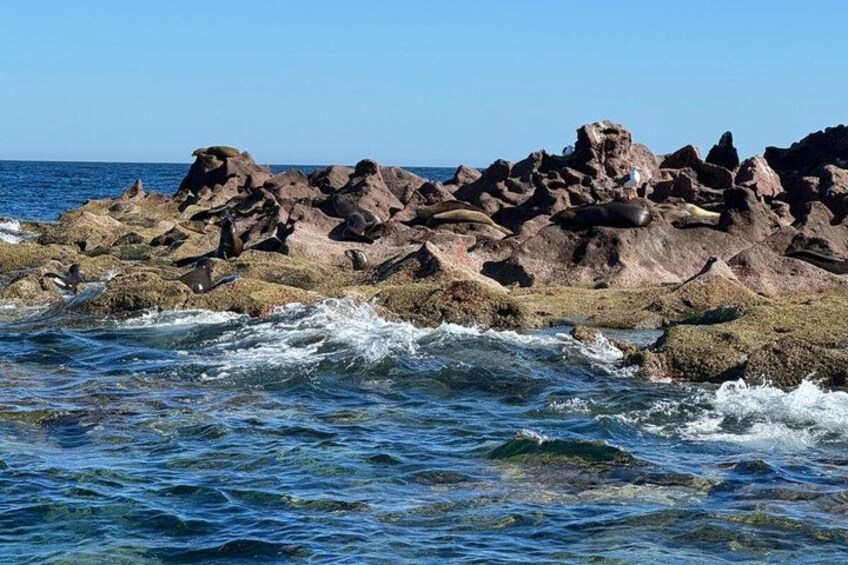 Une côte rocheuse où les vagues s'écrasent contre les rochers. 3