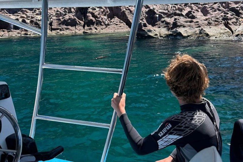 Una persona con traje de neopreno en un barco, sosteniendo una escalera hacia el agua. 2
