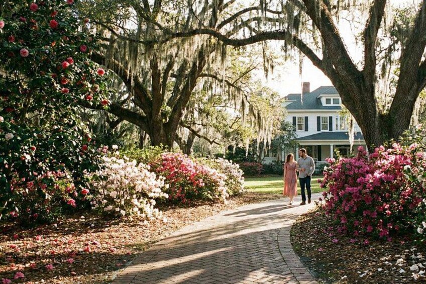 Discover Orlando: A Self-Guided Tour 1