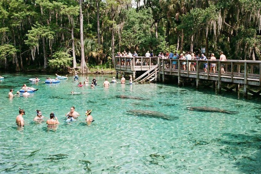 Discover Orlando: A Self-Guided Tour 2