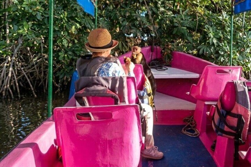 A boat with pink seats and a person wearing a hat. 3
