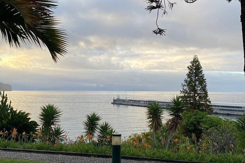 A coastal landscape with a pier extending into the water, surrounded by greenery and flowering plants. 2