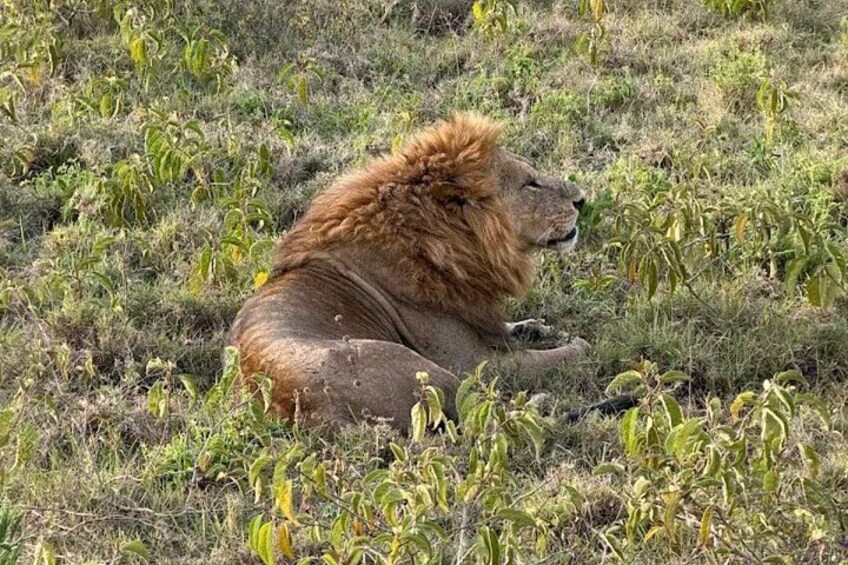 1 - Day shared Tsavo East Safari from Malindi & Watamu 3