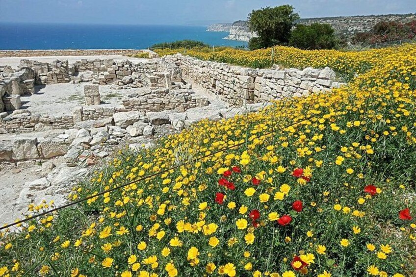 Ancient ruins, yellow and red flowers, and a coastal landscape. 4