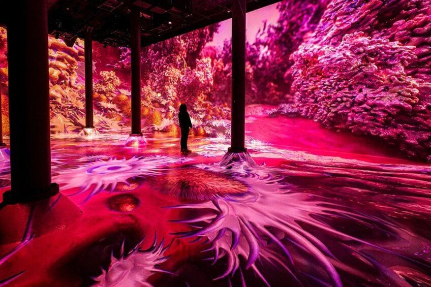 ARTECHOUSE NYC Admission Ticket 4