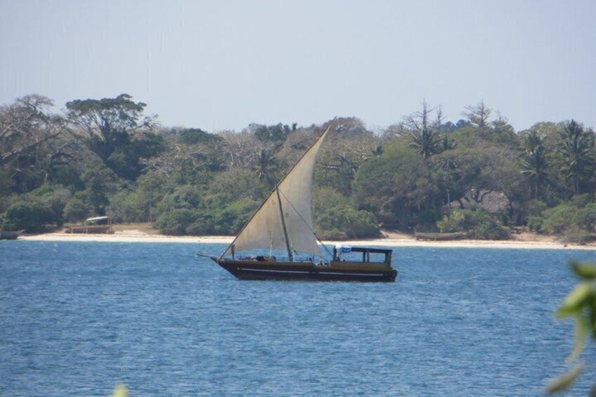1 Day Wasini Dolphin Tour From Diani Beach 2