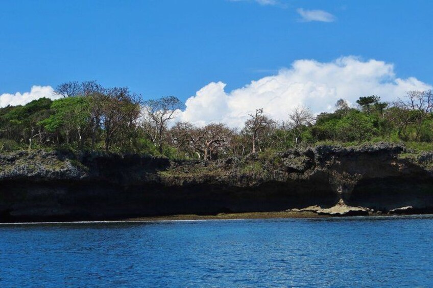 1 Day Wasini Dolphin Tour From Diani Beach 5