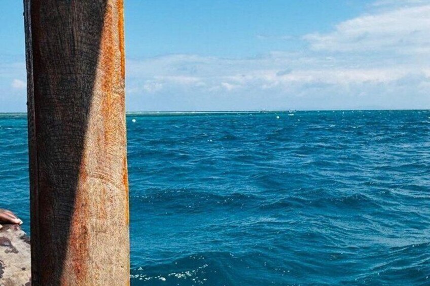 1 Day Wasini Dolphin Tour From Diani Beach 3
