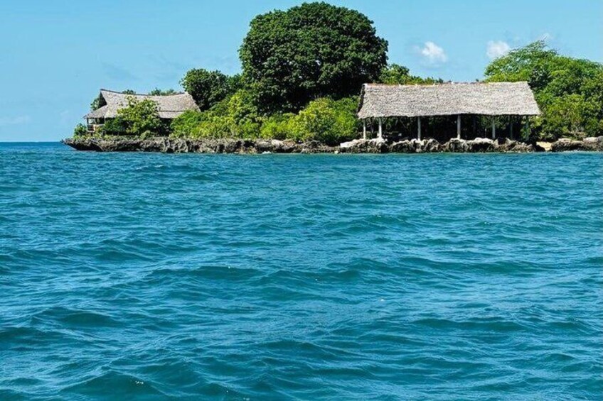 1 Day Wasini Dolphin Tour From Diani Beach 4