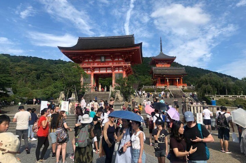 Kyoto Private Cultural and Historical Tour in Spanish 1