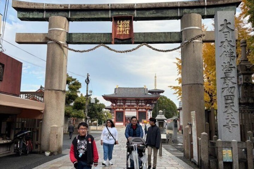 Kyoto Private Cultural and Historical Tour in Spanish 2