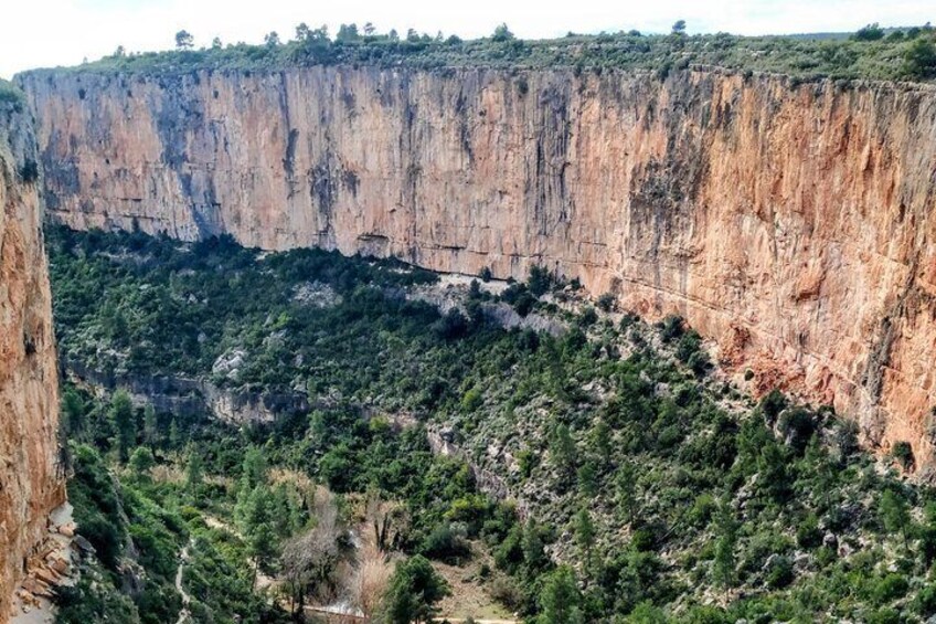 A canyon with steep cliffs and dense forest. 3