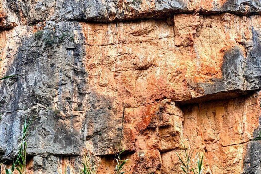 A rocky cliff with visible layers of sedimentary rock and sparse vegetation at the base. 2