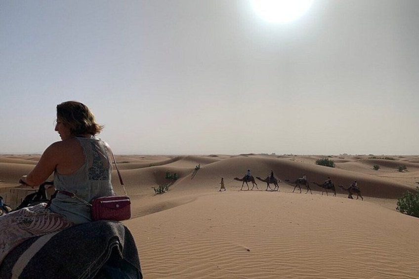 2 Days Fes Desert Tour with Night luxury Tent & Quad/Camel ride 3