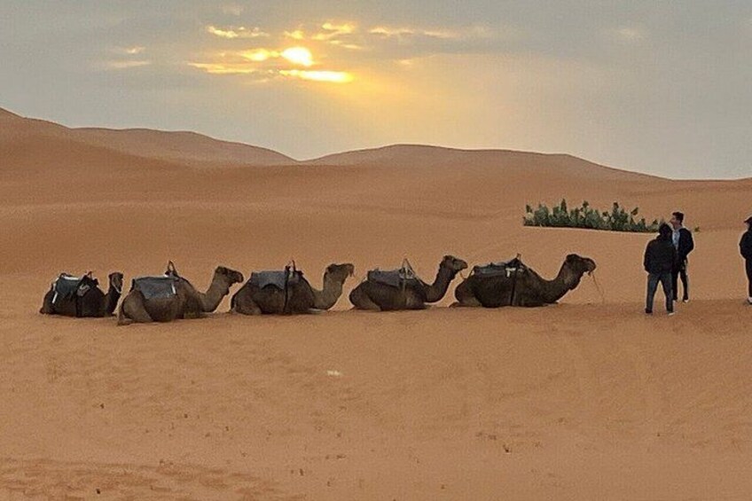 2 Days Fes Desert Tour with Night luxury Tent & Quad/Camel ride 2