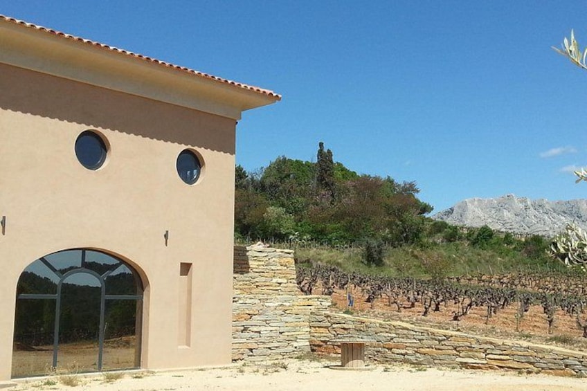 A building with circular windows, a stone staircase, and a vineyard in the background. 4
