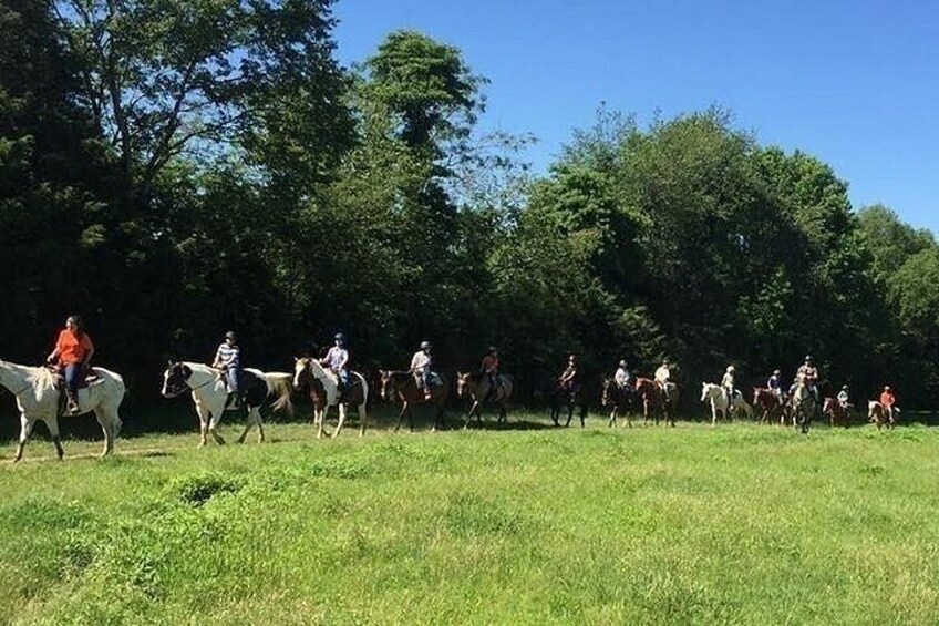 A group of people riding horses in a grassy field with trees in the background. 5