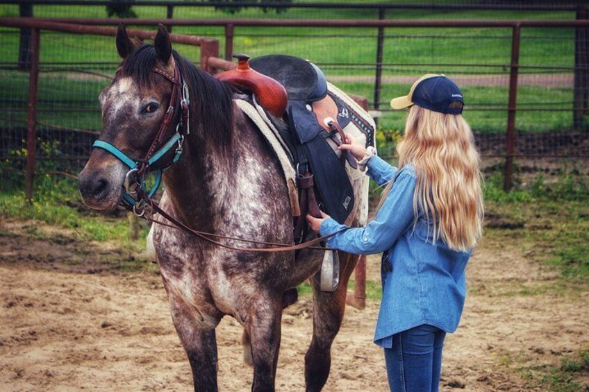 30 Minute Horseback Trail Ride in Memphis 1