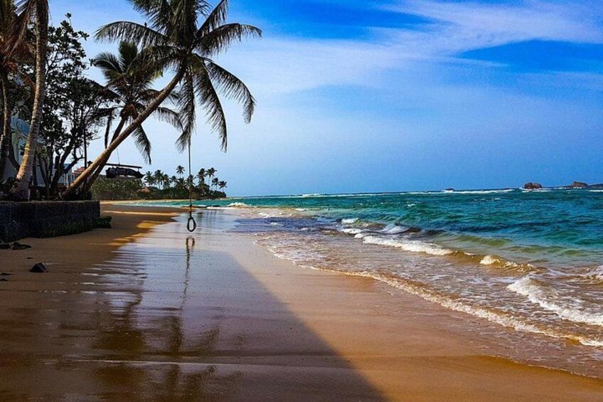 A beach with palm trees, ocean waves, and a clear sky. 1