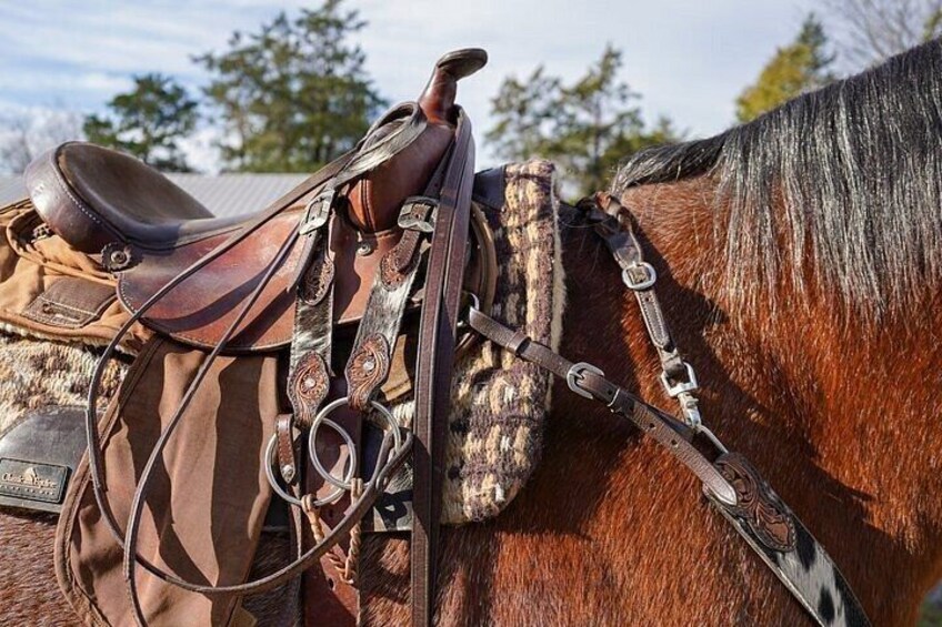45 Minutes Trail Ride Near Nashville 5