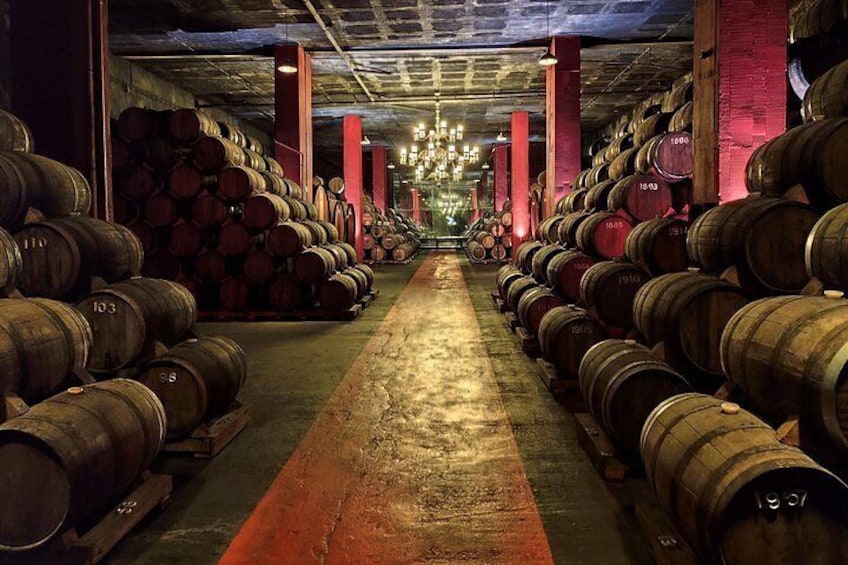Una bodega con hileras de barriles de madera, una alfombra roja y un candelabro. 2