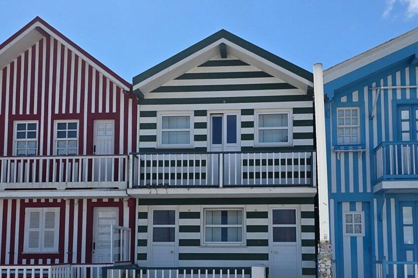 Aveiro and Bairrada Tour from Porto with Wine Culture and Coast 3