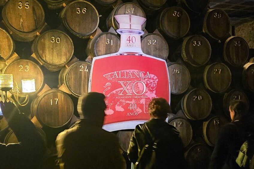 Aveiro and Bairrada Tour from Porto with Wine Culture and Coast 2
