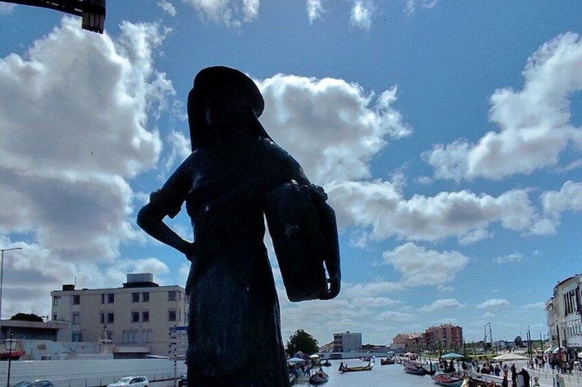 Aveiro and Bairrada Tour from Porto with Wine Culture and Coast 4