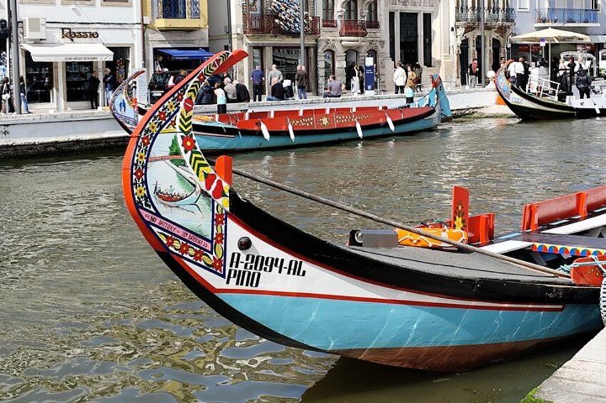 Aveiro and Bairrada Tour from Porto with Wine Culture and Coast 1