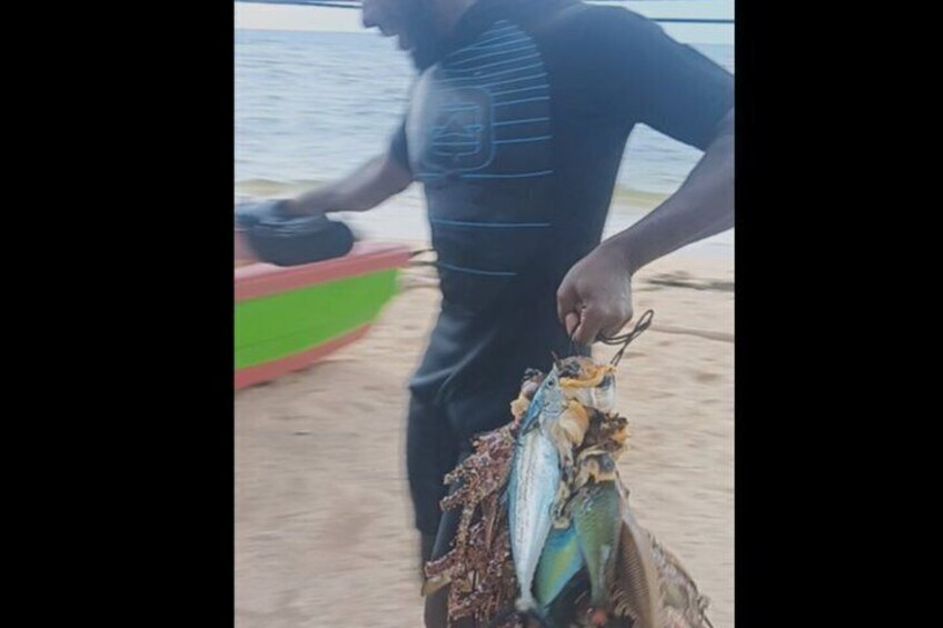 A person holding a fish on a beach with a boat in the background. 5
