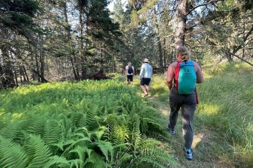 6 Hours Monroe Island Adventure Experience 1