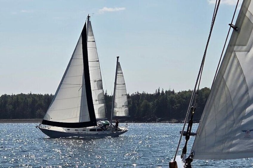 Two sailboats on a calm body of water with a forested shoreline in the background. 3