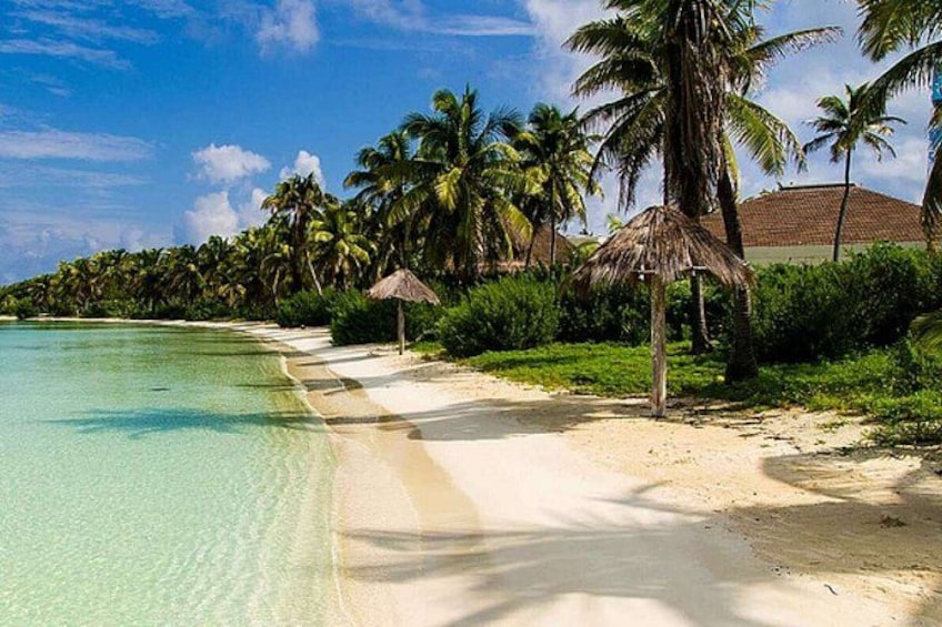 A beach with clear turquoise water, white sand, and palm trees. 4