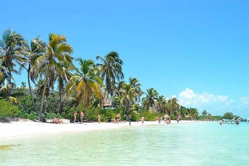 A beach with palm trees, clear water, and people sunbathing. 3