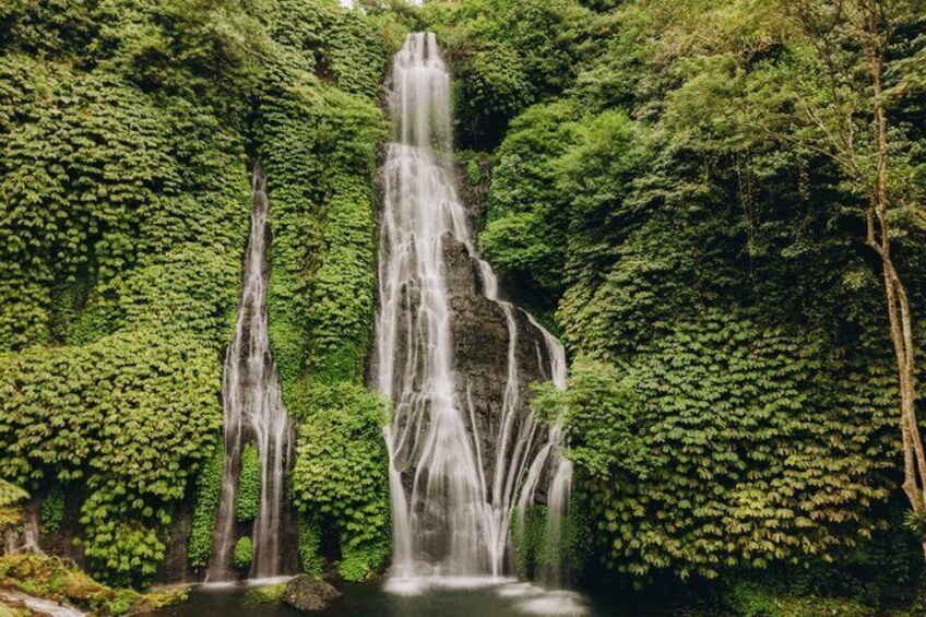 Una cascada rodeada de abundante follaje verde. 3