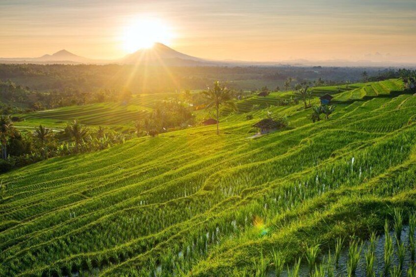 Campos de arroz en terrazas con una montaña al fondo y el sol poniéndose. 2